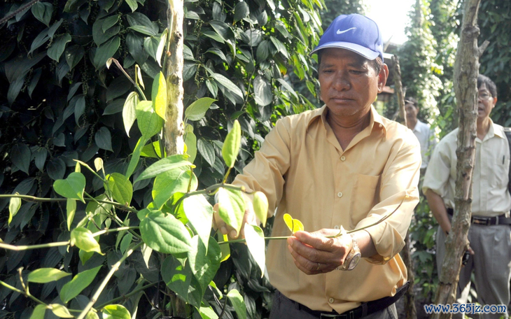 Khơi nguồn sống xanh， Net Zero thêm gần - Ảnh 3.