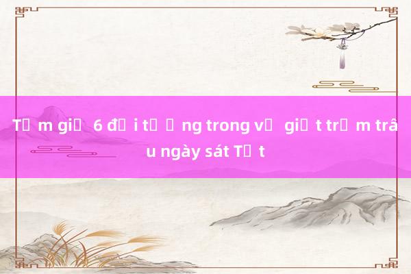 Tạm giữ 6 đối tượng trong vụ giết trộm trâu ngày sát Tết